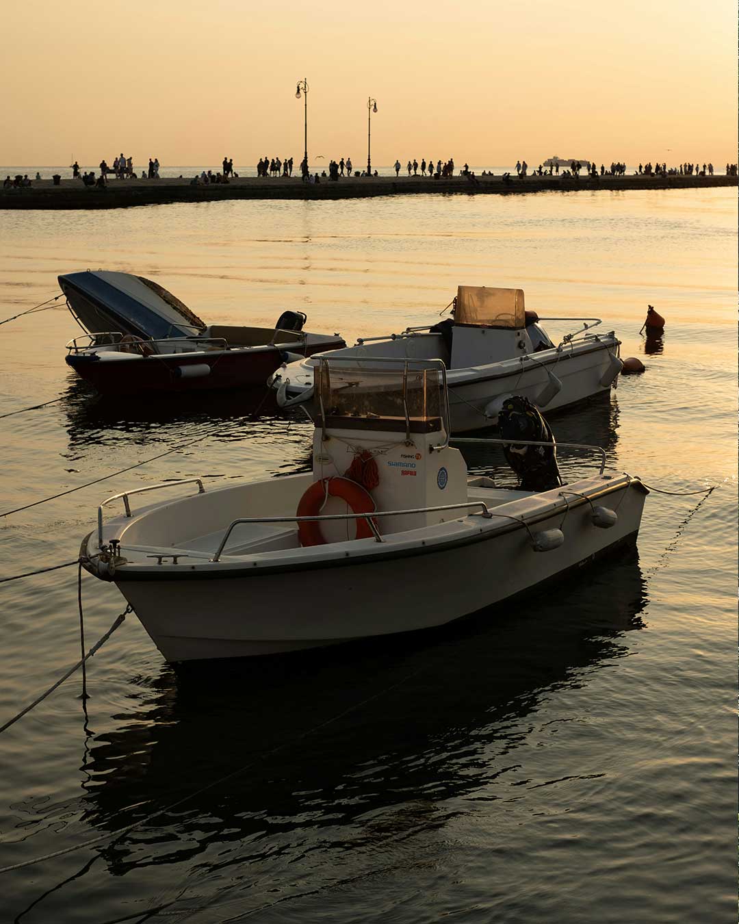 Boats moored in the port of Trieste, with calm sea and city buildings in the background